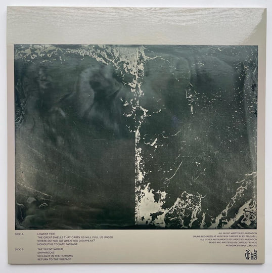 Aaronson - The Great Swells That Carry Us Will Pull Us Under cover reverse