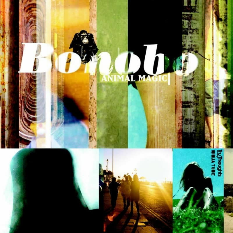 Bonobo Animal Magic vinyl album