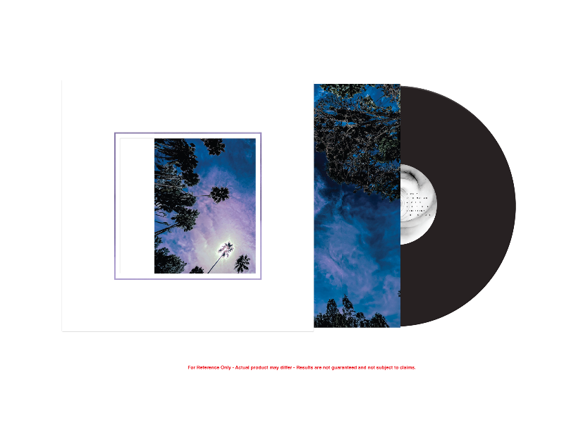 Look Outside Your Window vinyl LP