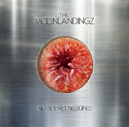 The Moonlandingz - No Rocket Required vinyl album