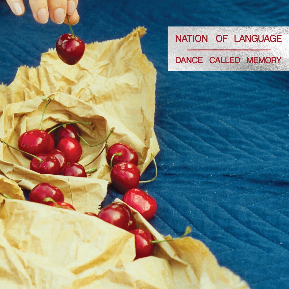 Nation Of Language - Dance Called Memory vinyl LP