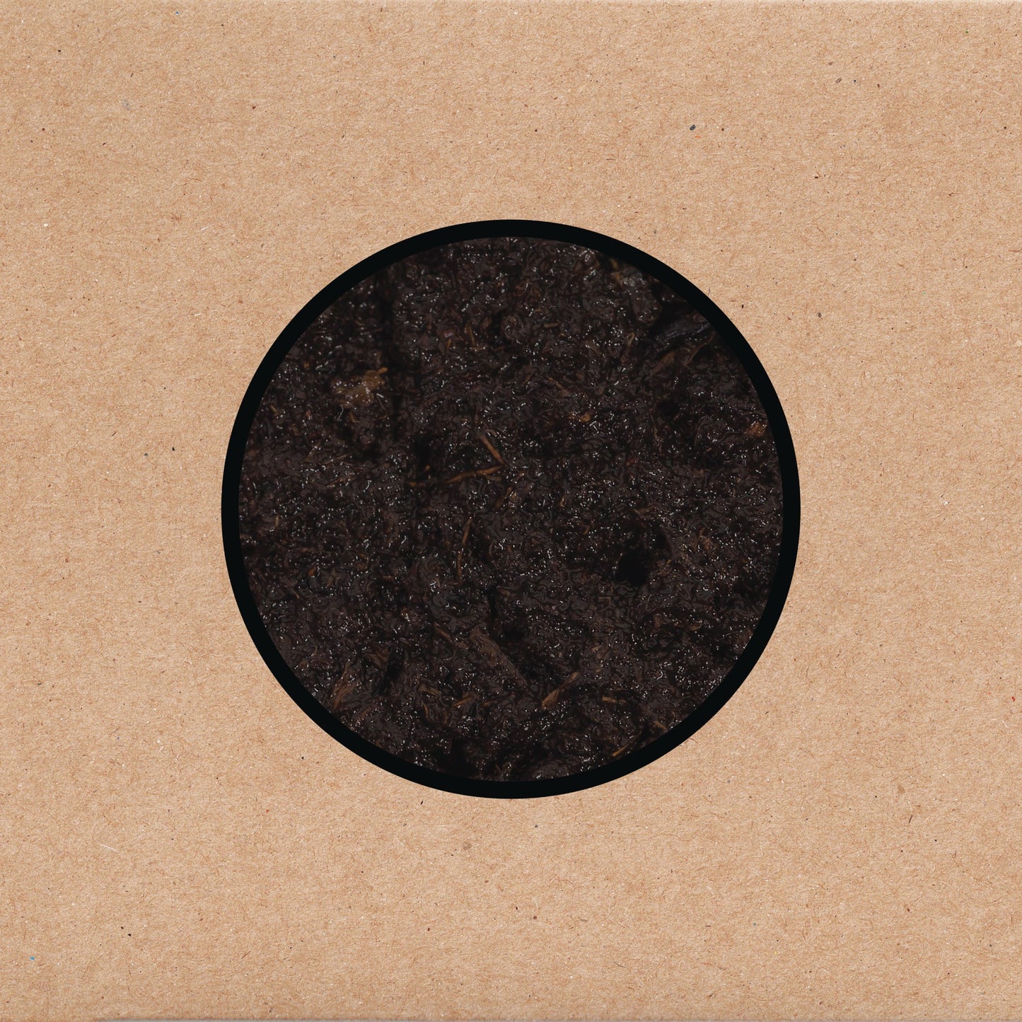 Swans Birthing vinyl album