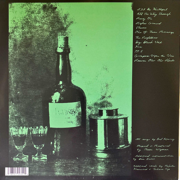 TV Girl - Grapes Upon the Vine - vinyl LP tracklist rear cover