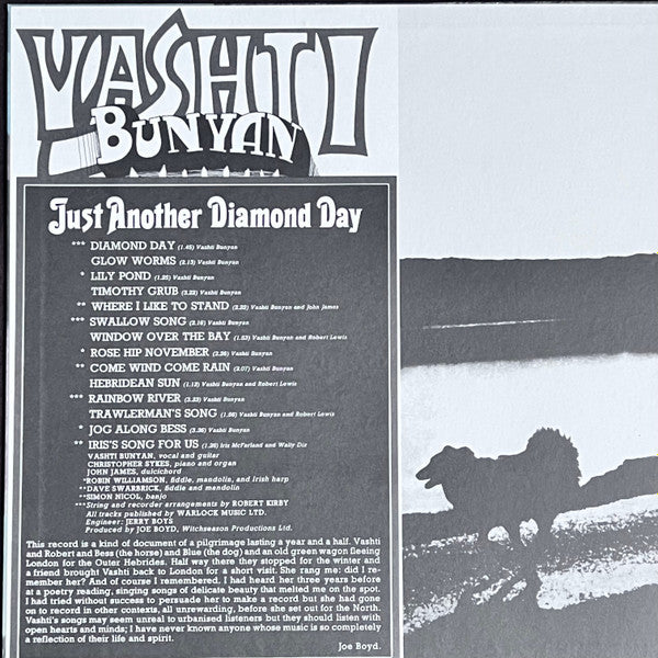 Vashti Bunyan Just Another Diamond Day album back cover