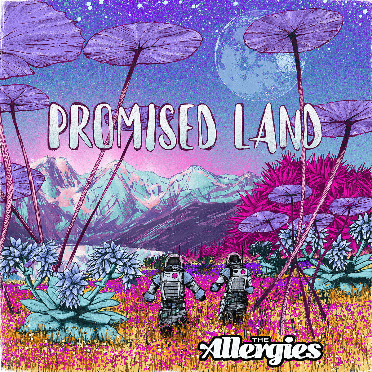The Allergies - Promised Land vinyl album