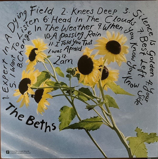 The Beths - Expert In A Dying Field