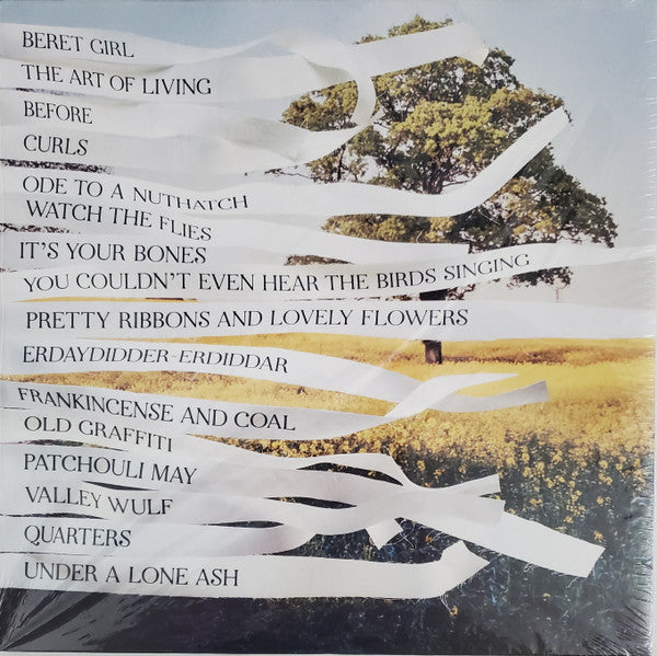 Bibio - Ribbons