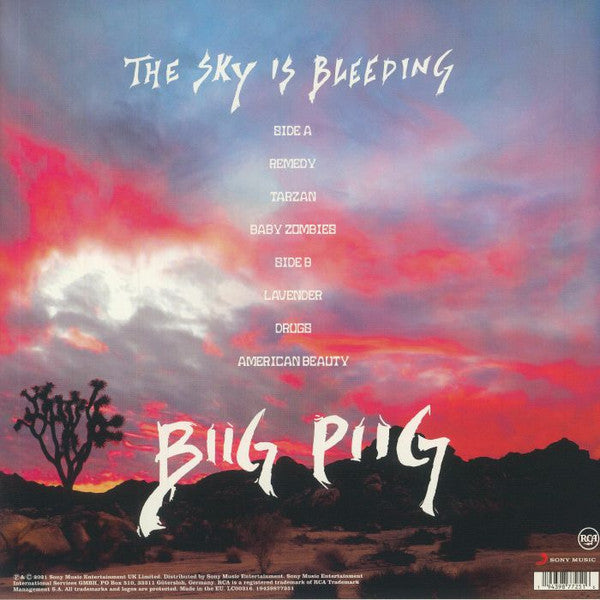 Biig Piig - The Sky Is Bleeding