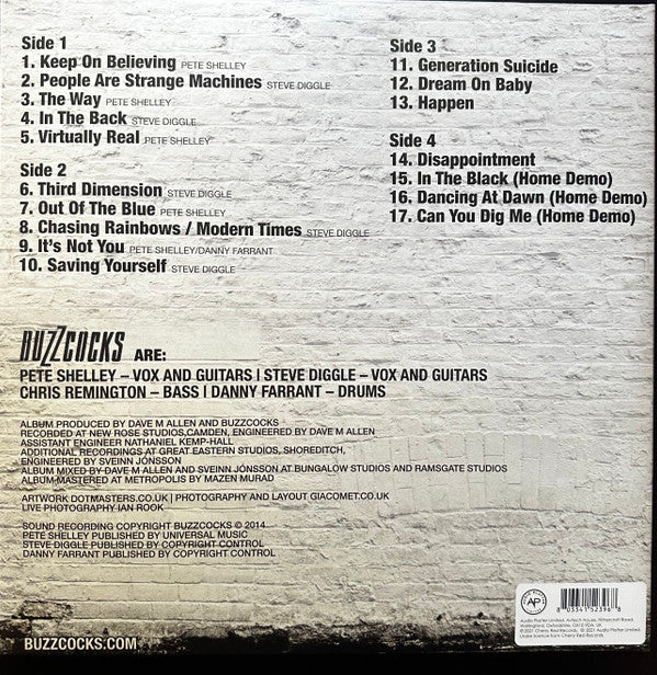 Buzzcocks - The Way album