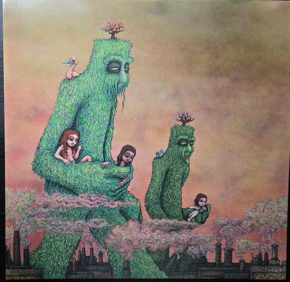 Dinosaur Jr - Farm vinyl