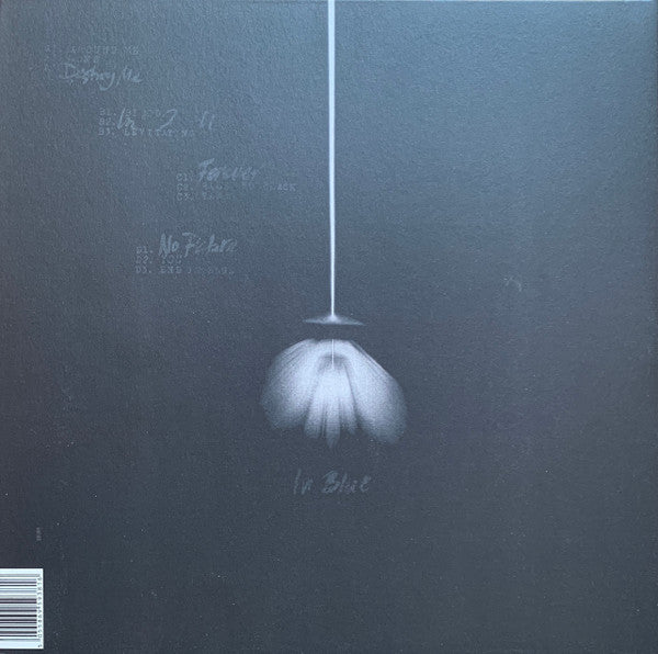 The Bug Ft. Dis Fig - In Blue album