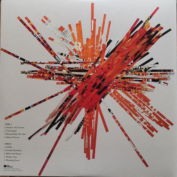 Dot Allison - Consciousology album