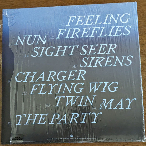Devendra Banhart - Flying Wig