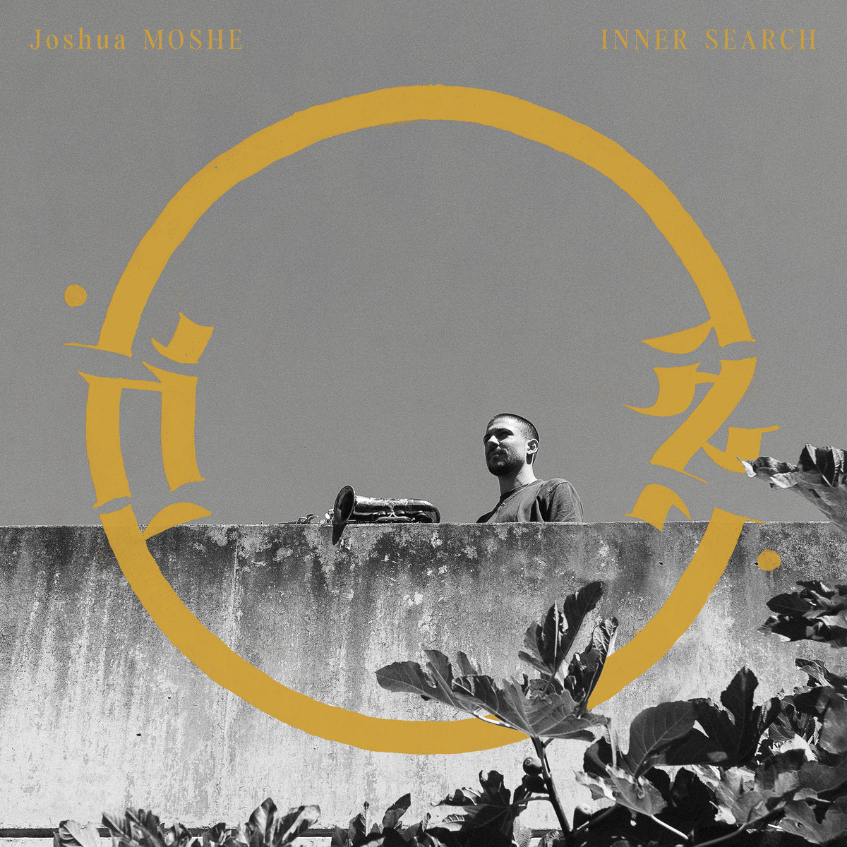 Joshua Moshe - Inner Search vinyl album