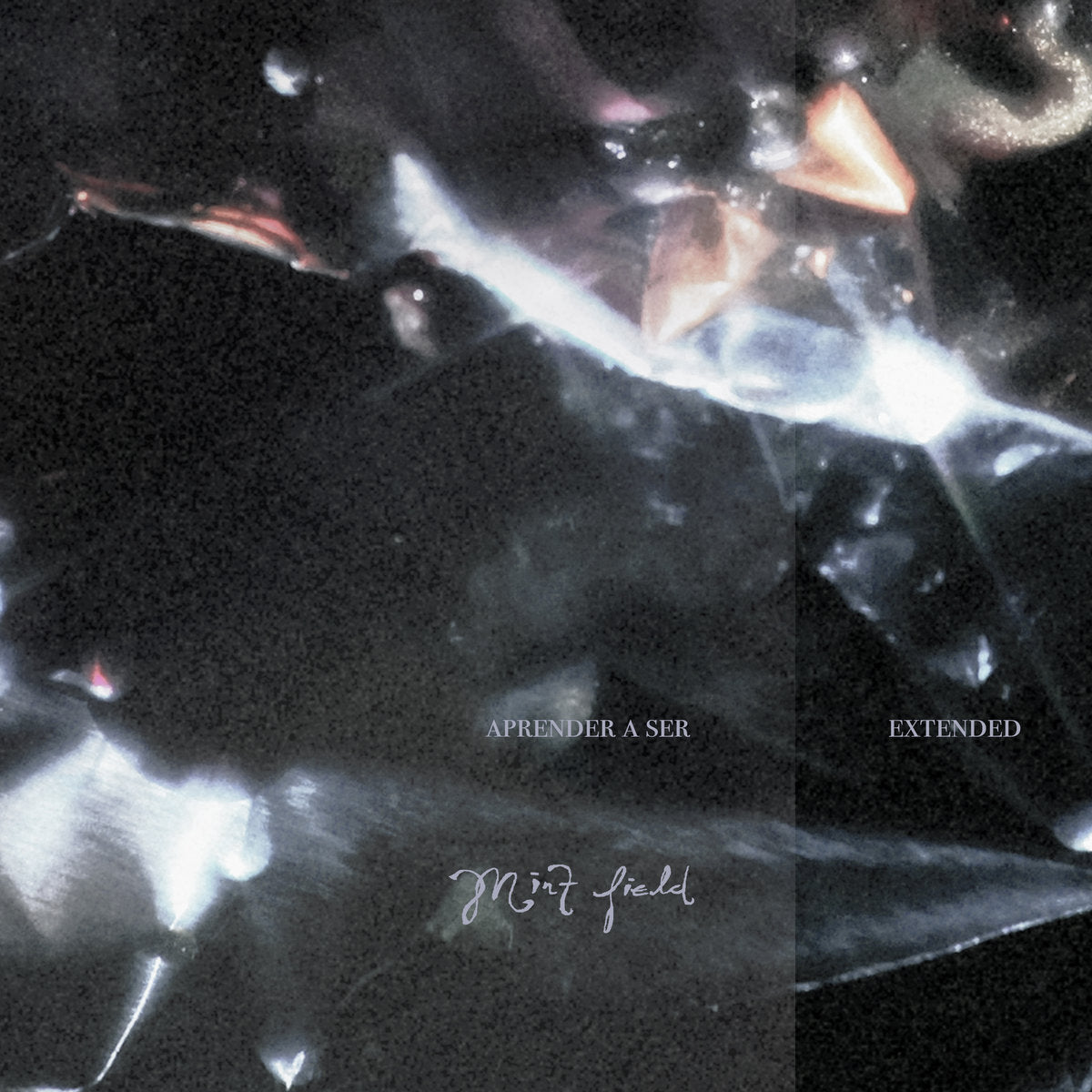 Mint Field - Aprender A Ser Extended