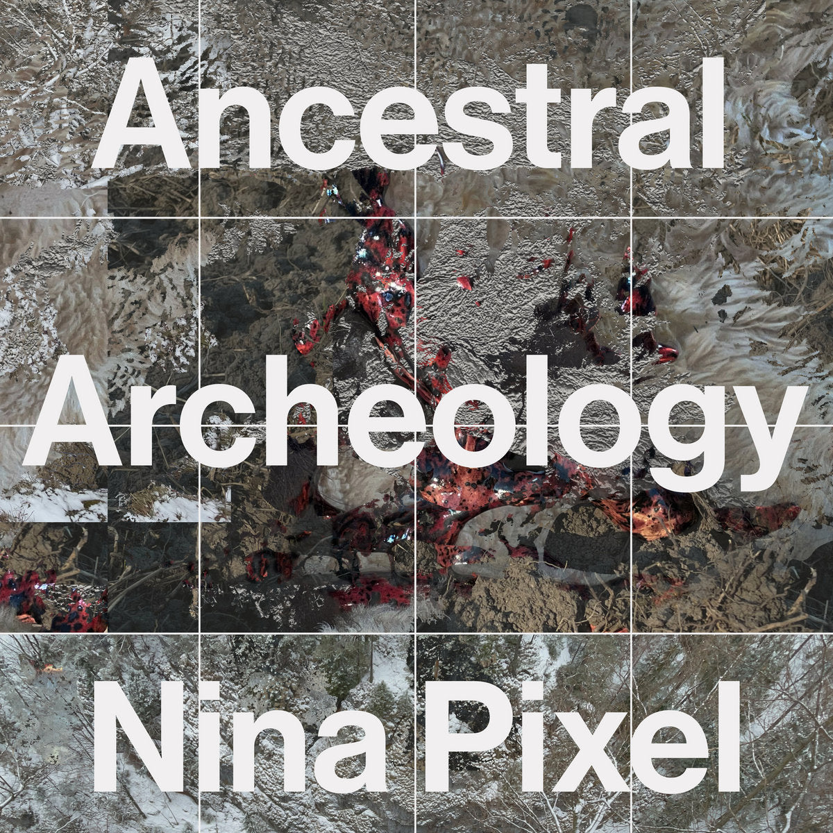 Nina Pixel - Ancestral Archeology vinyl album