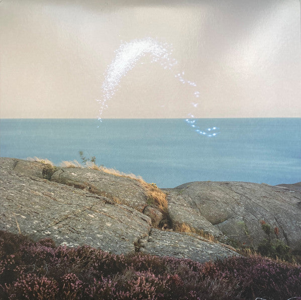 Cassandra Jenkins - An Overview On Phenomenal Nature