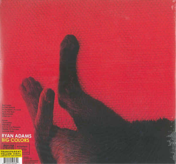 Ryan Adams - Big Colors
