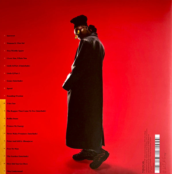 Little Simz - Sometimes I Might Be Introvert