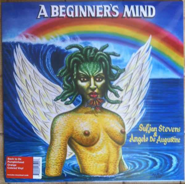 Sufjan Stevens and Angelo De Augustine - A Beginner's Mind