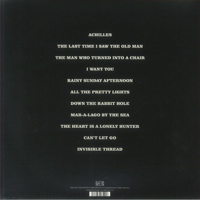 the divine comedy - Rainy Sunday Afternoon vinyl LP tracklist