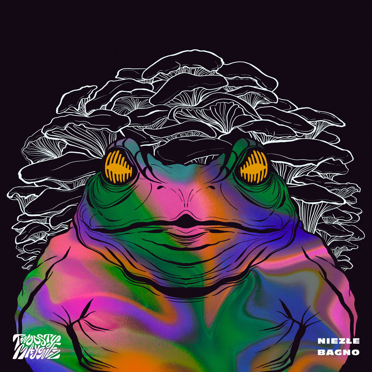 Twoosty Mayonez - Niezłe Bagno vinyl album