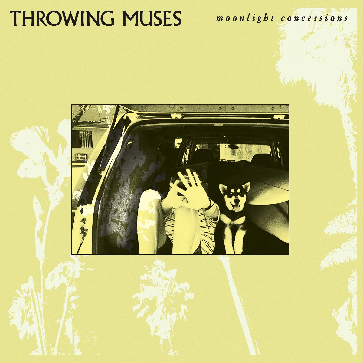 Throwing Muses - Moonlight Concessions vinyl album