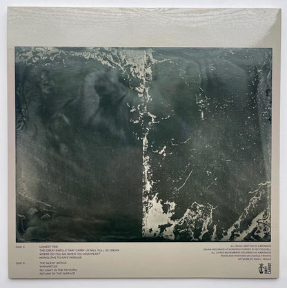 Aaronson - The Great Swells That Carry Us Will Pull Us Under cover reverse