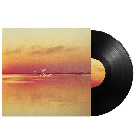 Andy Shauf - Norm black vinyl LP