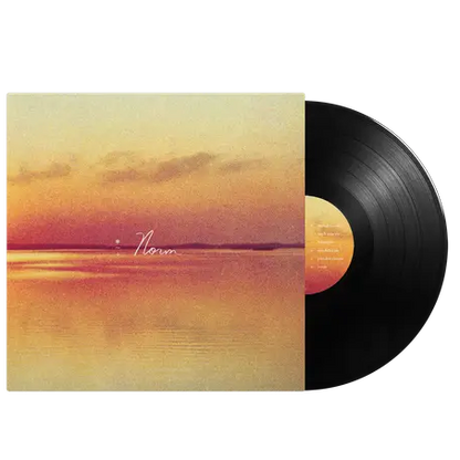Andy Shauf - Norm black vinyl LP