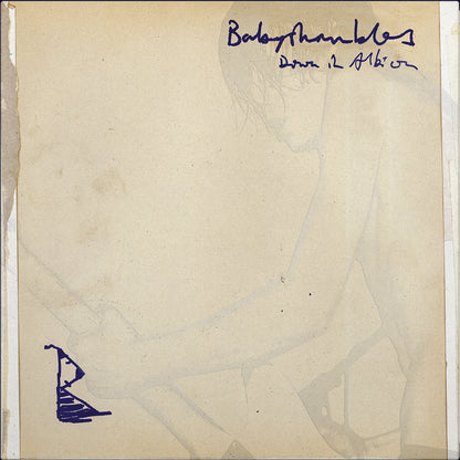 Babyshambles - Down in Albion (20th Anniversary Edition) double album