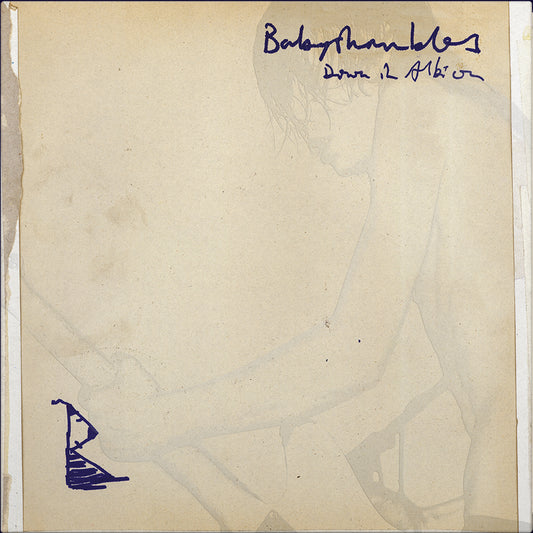 Babyshambles - Down in Albion (20th Anniversary Edition) double album