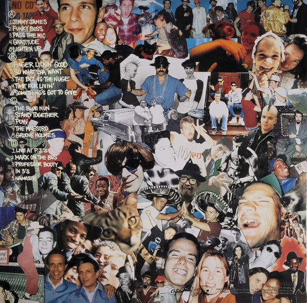 Beastie Boys - Check Your Head vinyl tracklist