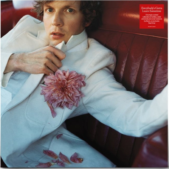 Beck - Everybody's Gotta Learn Sometime album
