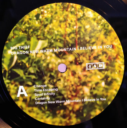 Big Thief Dragon New Warm Mountain I Believe In You black vinyl