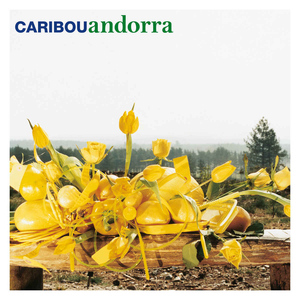 Caribou - Andorra white vinyl album reissue