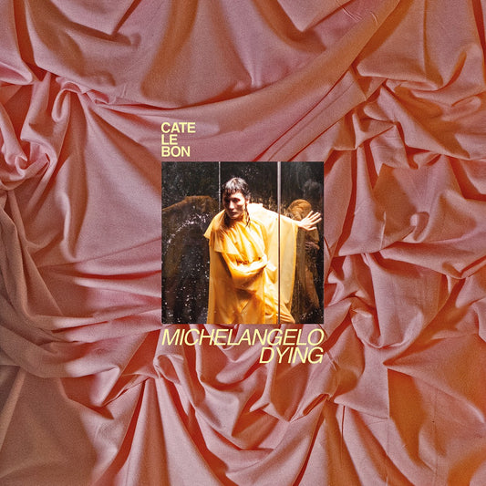 Cate Le Bon - Michelangelo Dying vinyl LP
