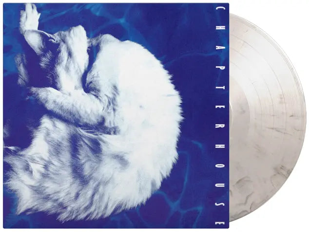 Chapterhouse - Whirlpool black and white marbled music on vinyl LP