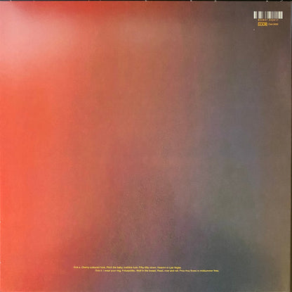 Cocteau Twins Heaven or Las Vegas album back cover
