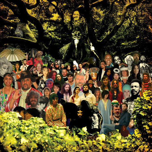 Devendra Banhart - Cripple Crow vinyl LP reissue