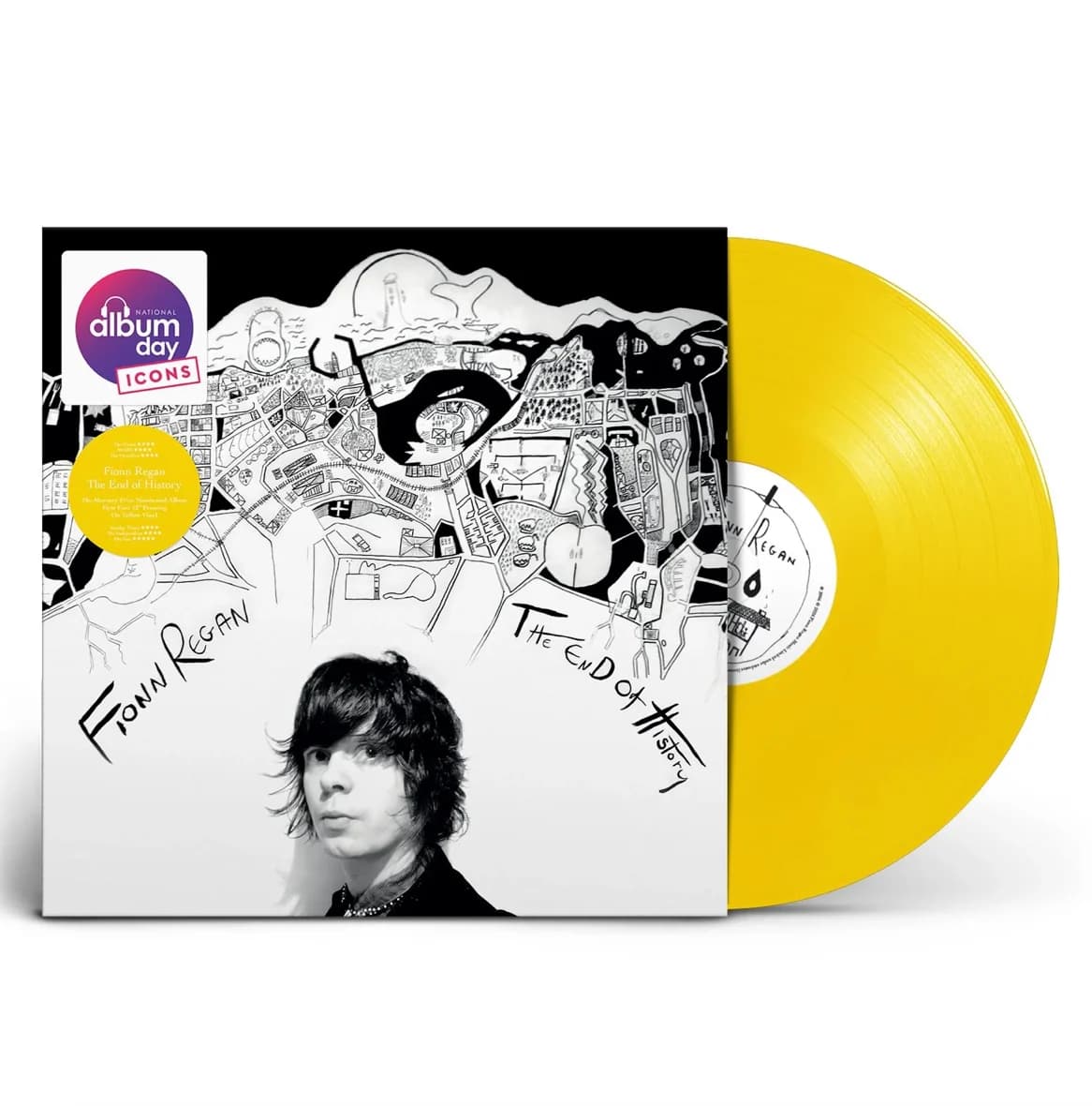Fionn Regan The End of History NAD2026 vinyl LP