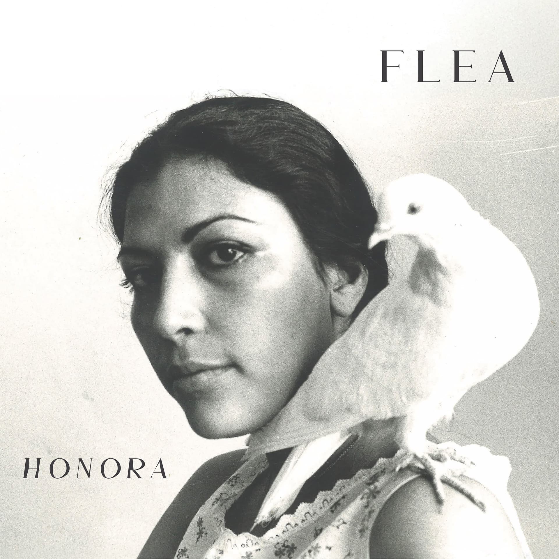 Flea honora album