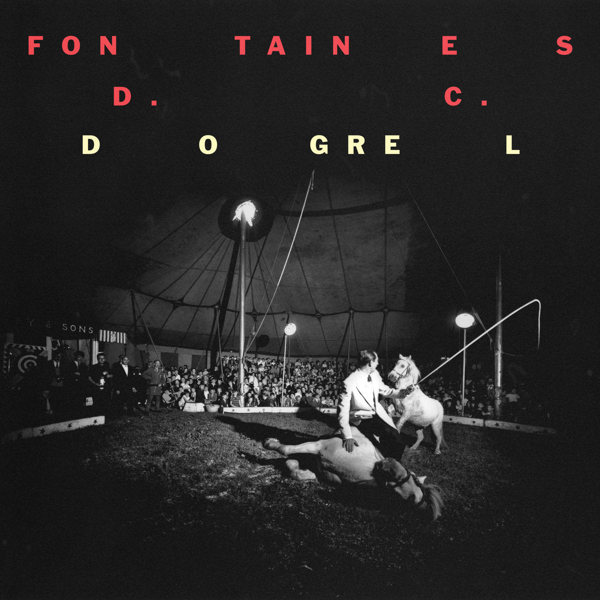 Fontaines DC - Dogrel album