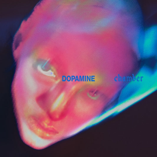 Fontaines DC Dopamine Chamber album