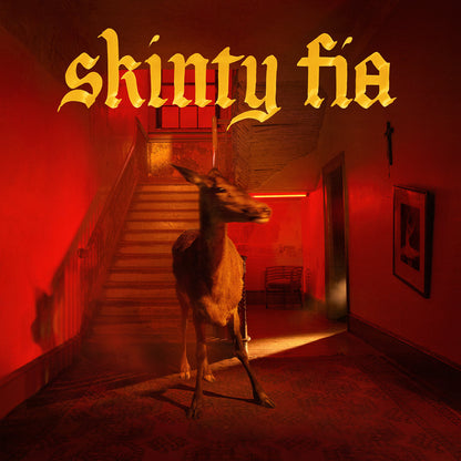 Fontaines DC - Skinty Fia vinyl album