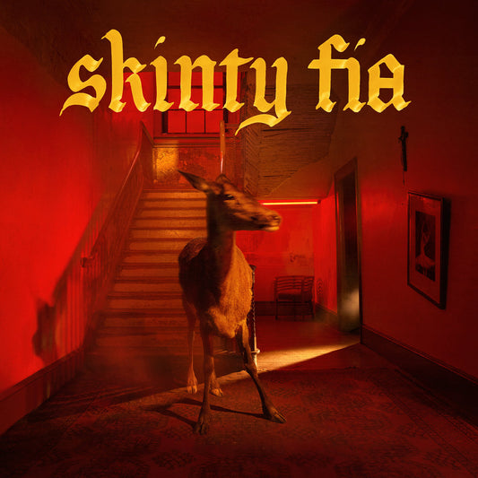 Fontaines DC - Skinty Fia vinyl album