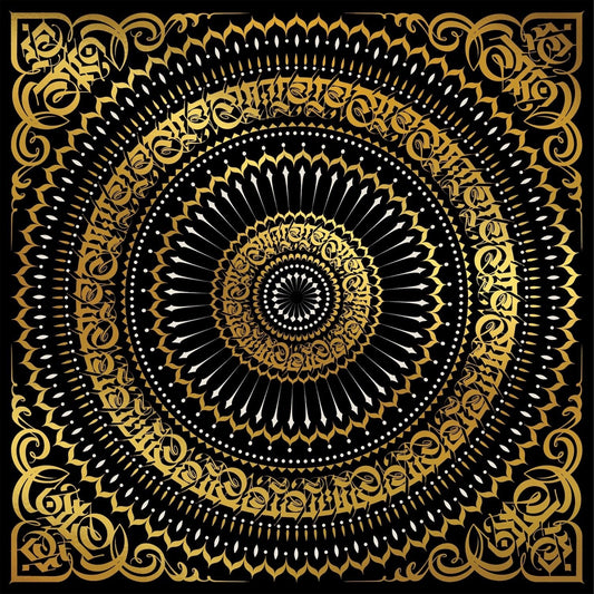Gaslamp Killer Ananda vinyl album cover