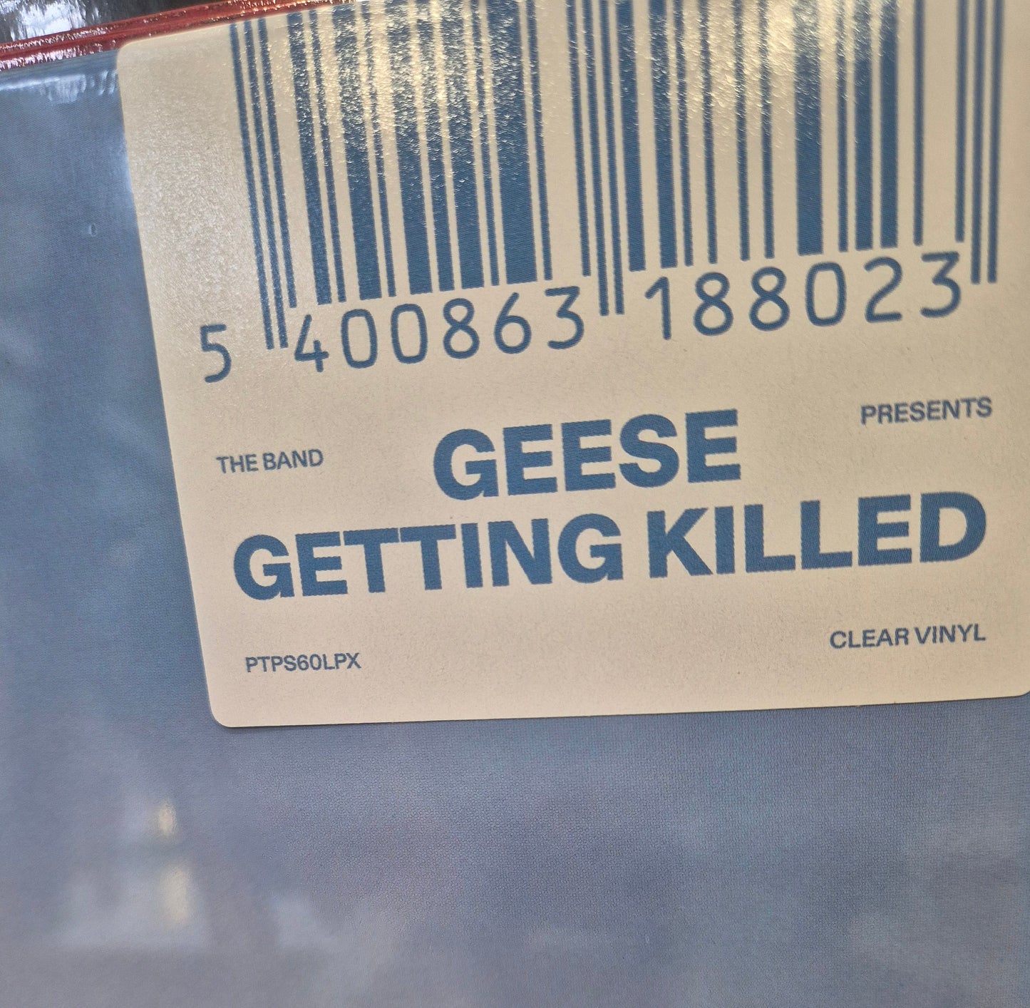 Geese getting killed clear vinyl LP