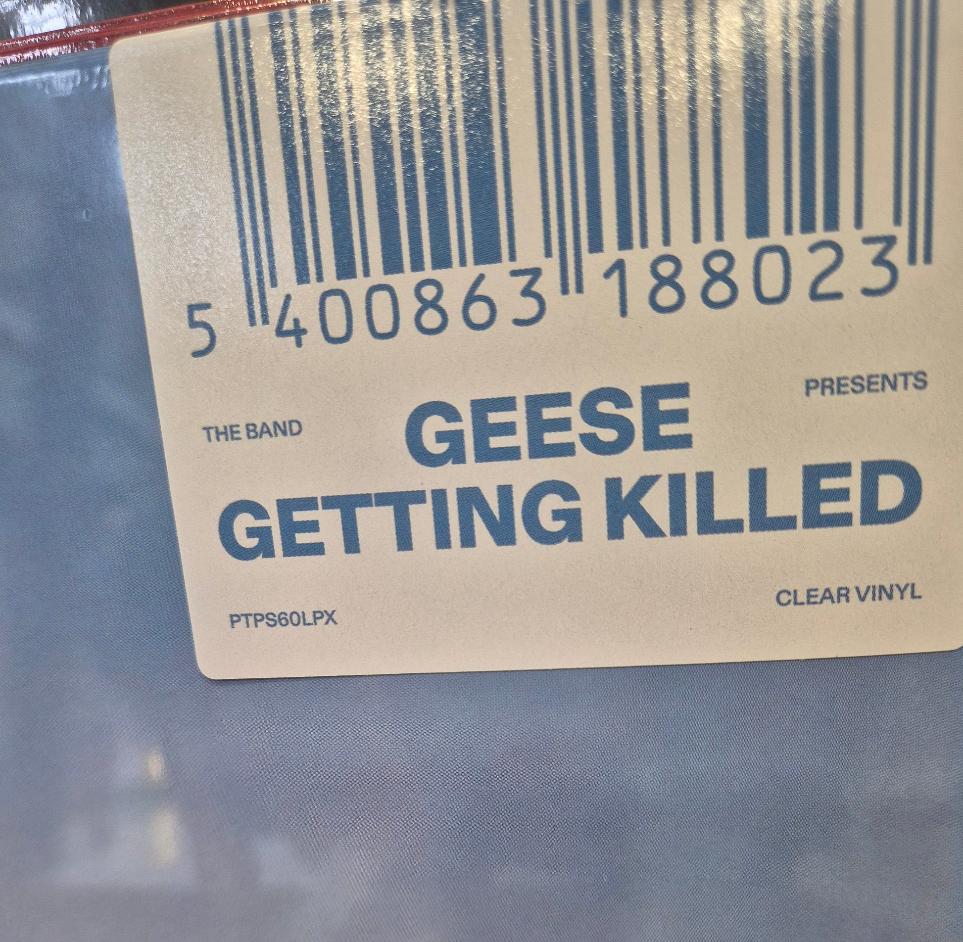 Geese getting killed clear vinyl LP