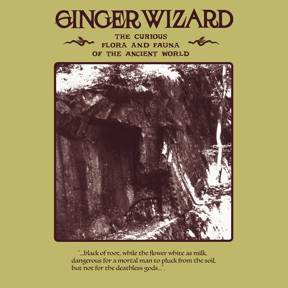 Ginger Wizard - The Curious Flora and Fauna of the Ancient World vinyl LP